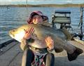 Elliot Fowler caught this fat impoundment barra with the aid of Livescope. This tech has opened up a dam winter fishery for many fishos