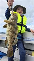 Take the kids out on charter with Hot Reels. A safe and comfortable vessel on which they could catch a range of species in the bay