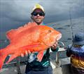 What do gun charter operators do when snapper and pearlies are off limits - go chasing reds of course. Another victim of D.I. Point Fishing Charters