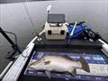Another great addition to Fisho's Recommended Services - MarineTech Hire - done by staff member, Logan