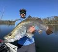 Dane's best Mondy barra last Saturday was this lovely 109. Live scope helped find the active fish and small lures tricked them