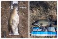 Trelly's Weekly Fishing Report