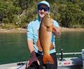 Straits coral trout are common bycatch when vibing for jewies etc