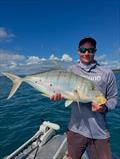 Snapper bycatch or targets in their own right; Hervey Bay's goldies are on the move and on the chew