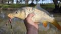 Trelly's Weekly Fishing Report