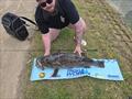 Estuary cod have been on the chew in the local lakes. Things are about to get exciting as those waters warm up
