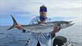 Spaniards can be found in the northern and central bay, as well as offshore