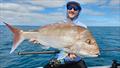 You can still catch snapper in the bay, and this new moon will have them on the chew