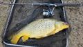 Trelly's Weekly Fishing