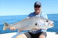 Jewfish can be either a target species or cool bycatch. This one came from a recent Saltwater Playground Charter