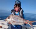 How's this for 'golden trevally bycatch' for young Lewis. A magnificent 76cm snapper on plastic in brilliant conditions close inshore
