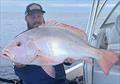 Big nannies look so cool fresh from the water. Make the effort to take a good shot of fish of this calibre for lasting memories