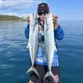 School mackerel are in plague proportions in the southern bay. Take the kids out and get them amongst these speedsters and they will have a ball