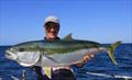 VRFish releases Kingfish Survey results