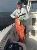 Red Snapper