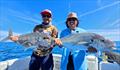 Hot Reels Charters have been into the long-nosed trevally as well as spaniards and a few reefies when the wind allows