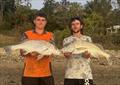 How about these whopper grunter from a Hervey Bay foreshore. Both fish bettered the 70cm mark, with the best going 78cm