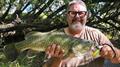 Murray cod