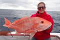 Red snapper, like the one pictured here, is a culturally and economically important fish for South Atlantic fishing communities. It is especially prized by recreational fishermen for their delicious taste and rewarding catch