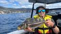 The inshore reef fishing for Stripey Trumpeter and Morwong Perch on the Tasman Peninsula has been productive