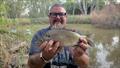 Silver Perch