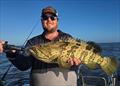 Estuary cod will revel in these post-flood conditions. This fish was caught on a Hot Reels charter inshore