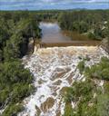 Water is still flowing high over Teddington Weir as well as the Mary River Barrage so the Mary will be pure fresh for some time