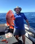 A plump red like this helped Paul justify the fuel burnt to get offshore