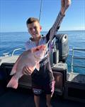 Kade and the rest of the Whittle clan scouted new country off Wathumba and found a few jig-munching nannies