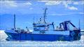 Tasman Viking - has been granted a bottom trawling licence by the NZ Government