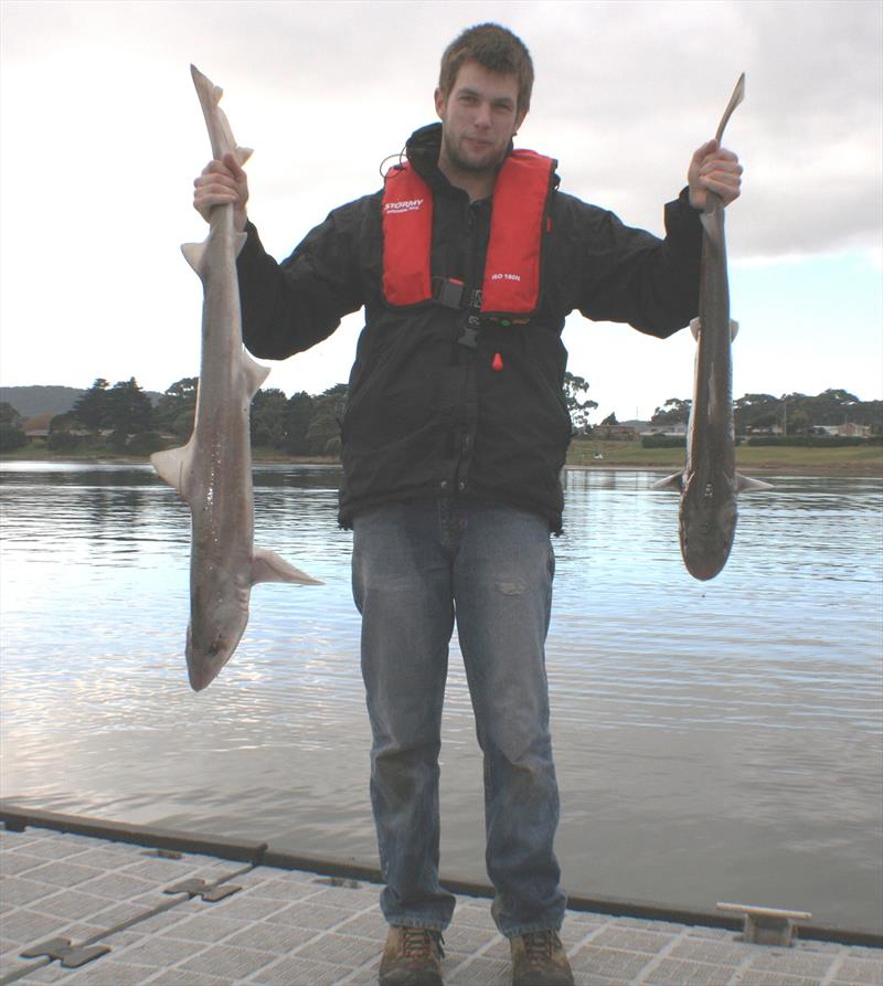 Elliot with two gummy taken from set line on North Coast in shallow water - photo © Carl Hyland