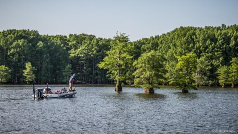 Hawg Caller Proven Winner Spinnerbait – Lures and Lead