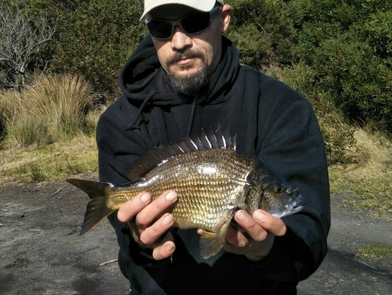 Nathan with a Black Bream caught from Curries River. - photo © Carl Hyland