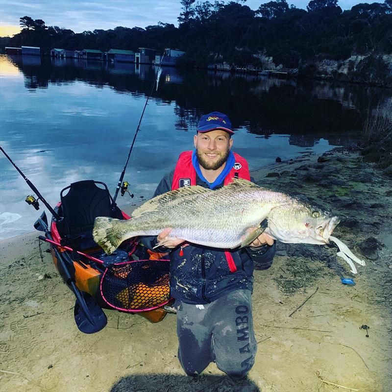 Mulloway Tagging photo copyright Marc B Ainsworth taken at  and featuring the Fishing boat class