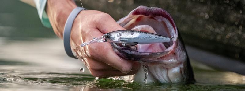 Innovative technology redefines the deep-diving jerkbait - photo © Shimano