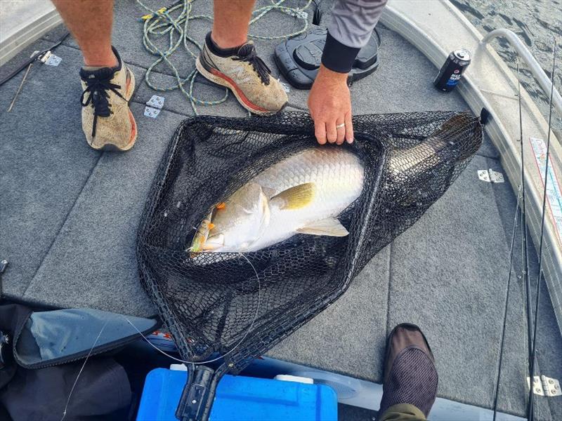 The Molix Shad 140 continues to produce the goods photo copyright Fisho's Tackle World taken at  and featuring the Fishing boat class