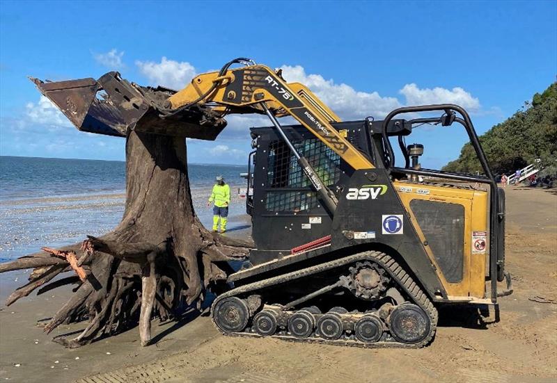 A solid stump that washed up at Torquay Beach on Tuesday photo copyright Fisho's Tackle World taken at  and featuring the Fishing boat class
