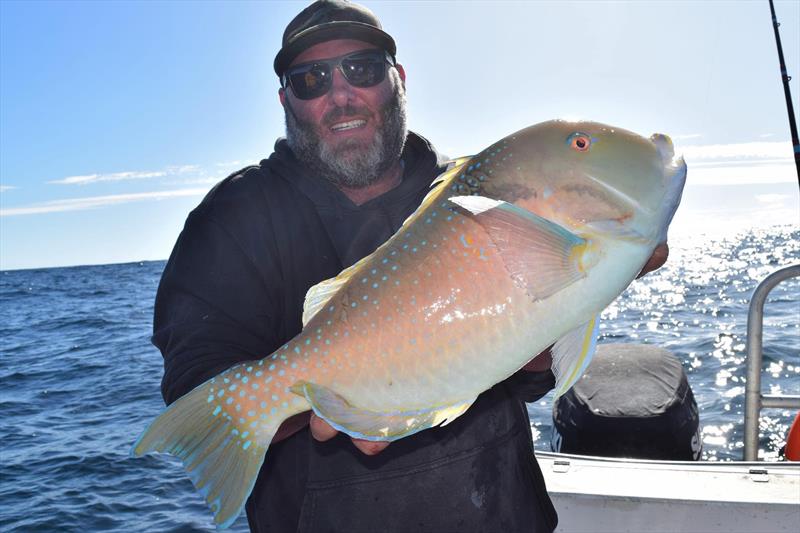 A nice tuskie caught onboard Rainbow Escape Fishing Charters photo copyright Fisho's Tackle World taken at  and featuring the Fishing boat class