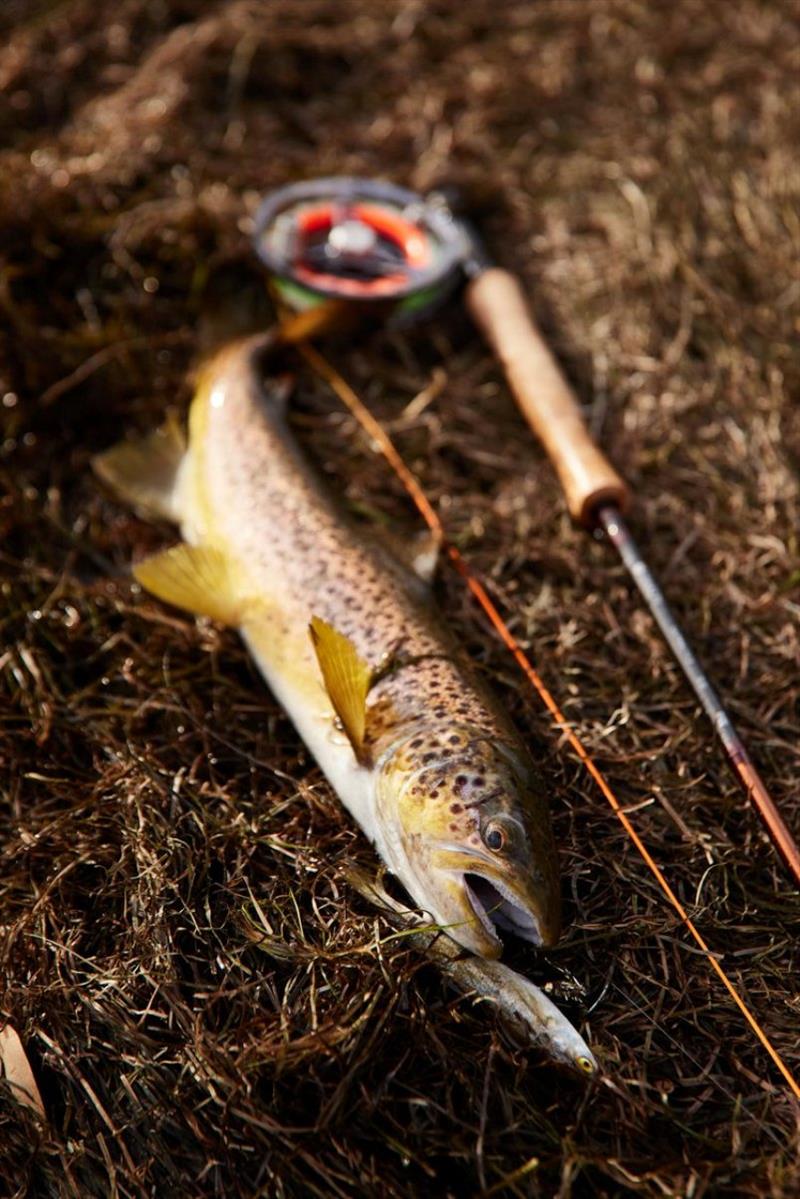 Tasmanian Fishing Report - 7 July 2022