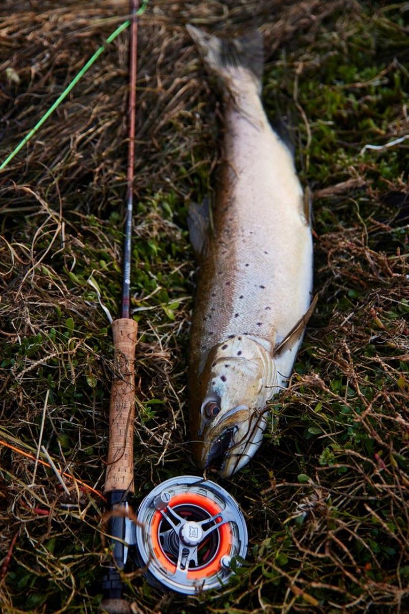 Tasmanian Fishing Report - 7 July 2022