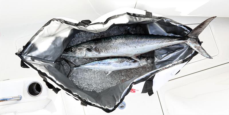 Smith's Insulated Fish and Bait Bags - photo © Smith's Products