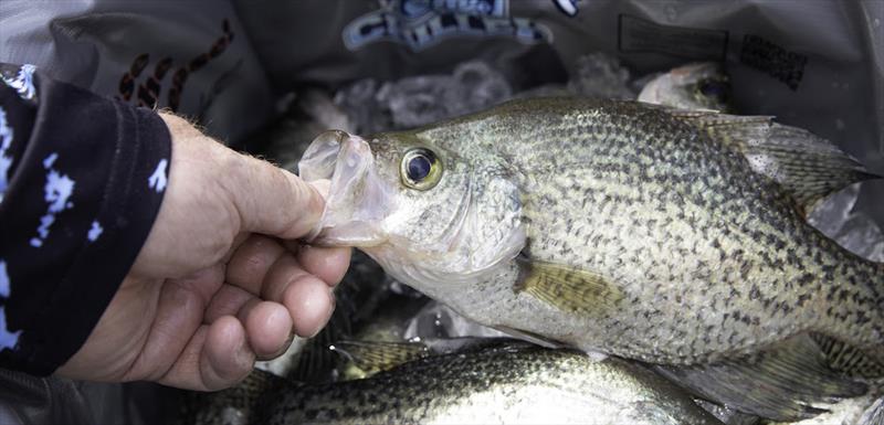 Five essential tools for Crappie anglers photo copyright Smith's Products taken at  and featuring the Fishing boat class