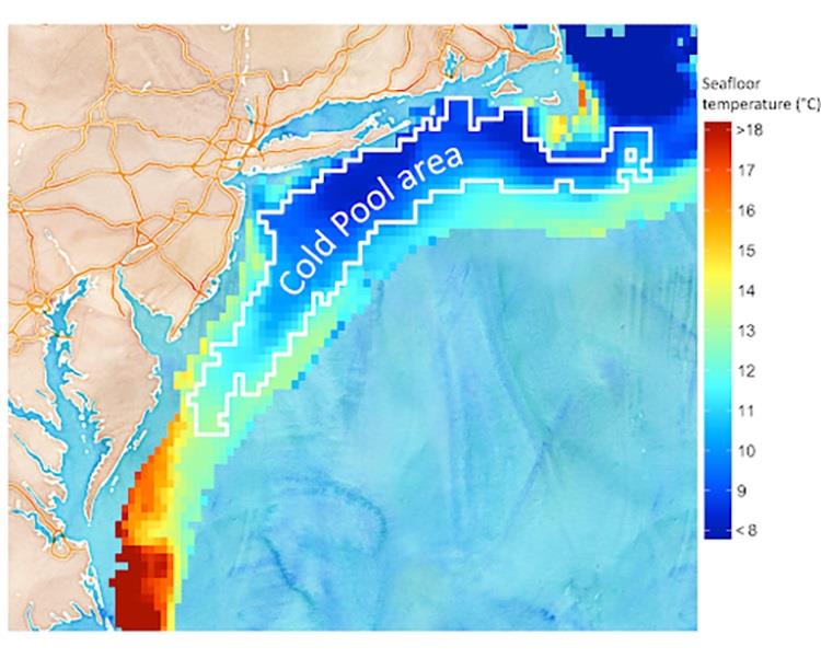 Temperature map of a strong cold pool in 2006. The color represents the mean seafloor temperature in June, July, and August. - photo © NOAA Fisheries/Hubert du Pontavice