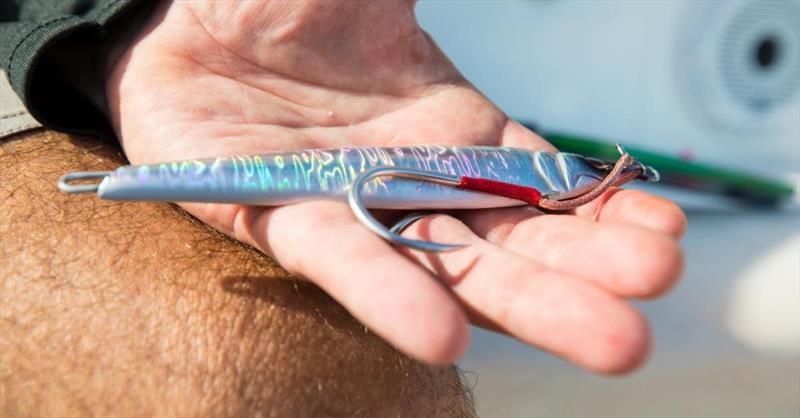 Sea Falcon's Z Remain Slow Pitch Jig photo copyright Source Outdoor Group taken at  and featuring the Fishing boat class