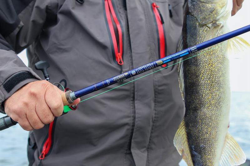 St. Croix Avid Series Walleye Spinning Rods