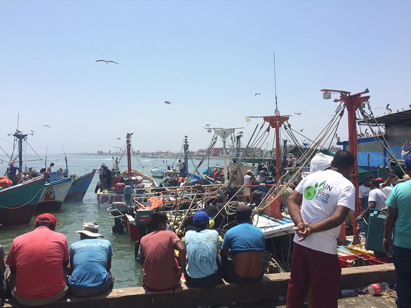 Researchers interviewed fishers from seven countries to understand what fishing gear is lost at sea - photo © CSIRO