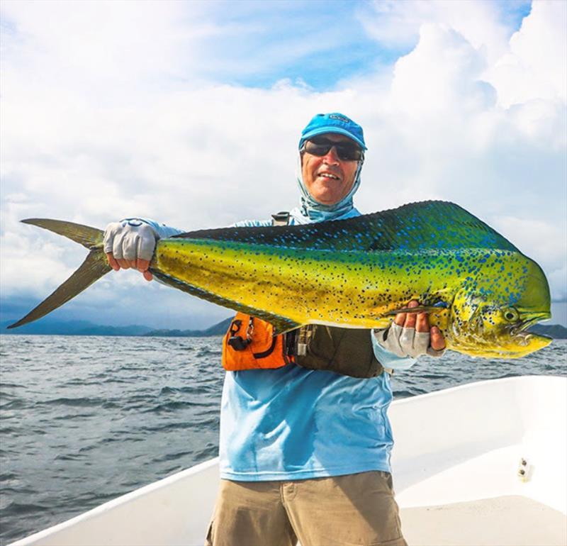 Daiwa adds new fish-taunting colors to its legendary lineup of big game poppers - photo © Daiwa