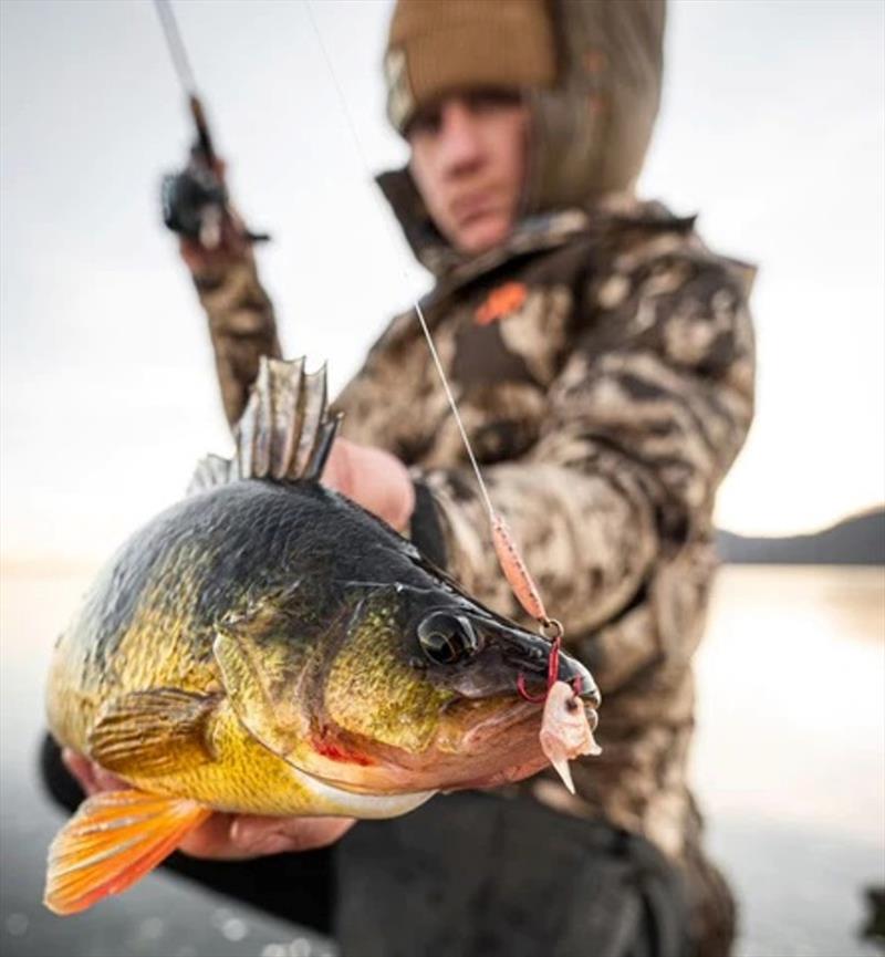 Ace stick, Hunter Rud, shares tips and strategies for catching more and bigger yellow perch photo copyright St. Croix Rods taken at  and featuring the Fishing boat class