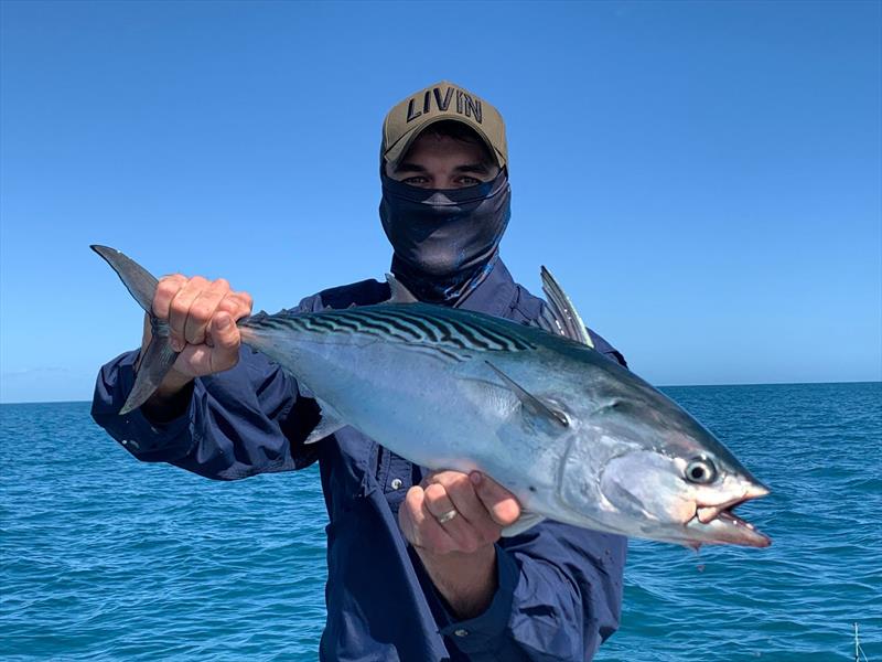 Jackson Sewell with a mac tuna that was spun up on a 5` Zman Streakz photo copyright Fisho's Tackle World taken at  and featuring the Fishing boat class