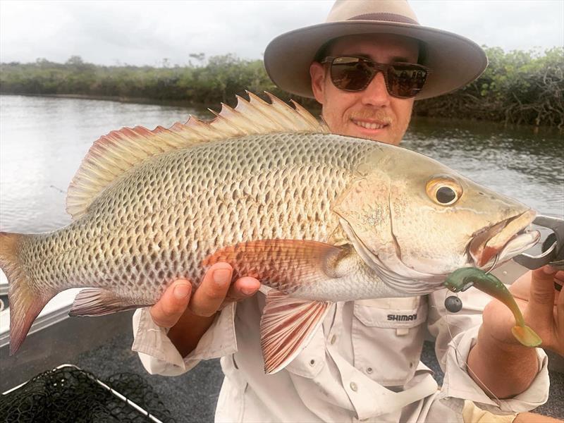 Shop regular Tauri with a nice mangrove jack, caught on a Zman Diezel Minnowz photo copyright Fisho's Tackle World taken at  and featuring the Fishing boat class